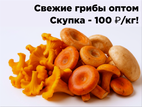 183ce07fe73ef1338.png