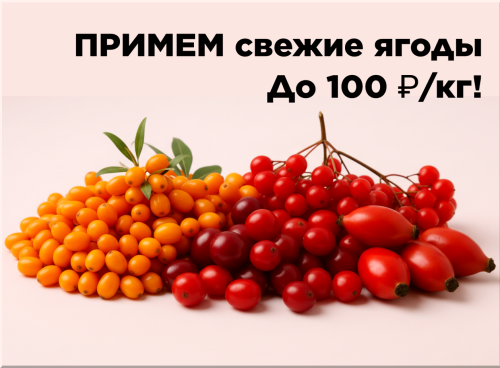 1affc13d2debb8a5d.png
