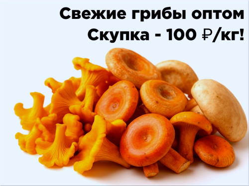 1c9d48948ebc401eb.png