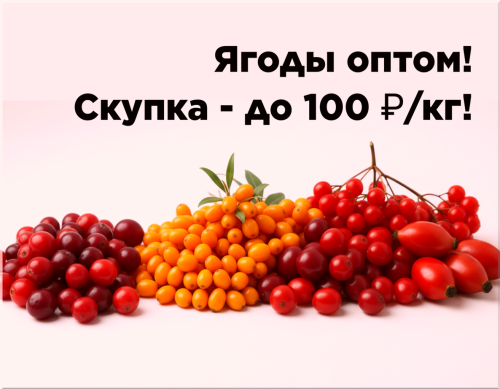 1fa46670c9a2abc2f.png