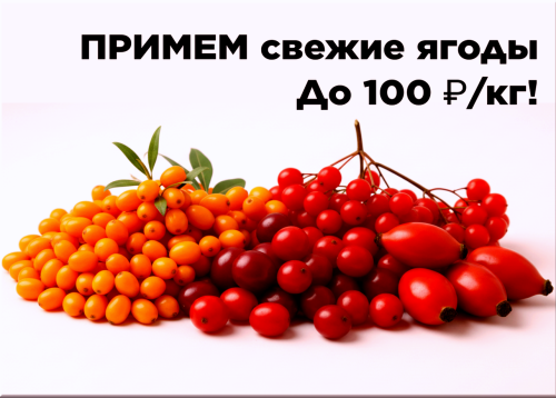 1fc36dcaaa4a17c4f.png