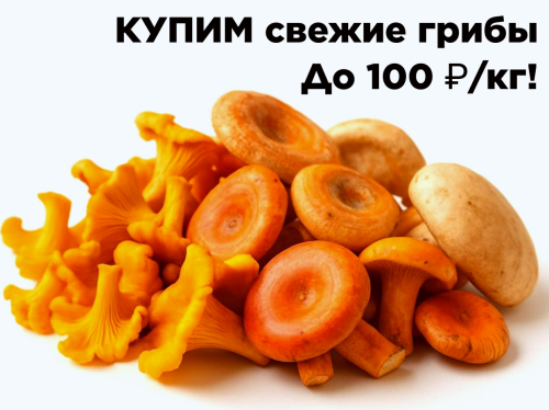 1fdc0d0c20dc47845.png