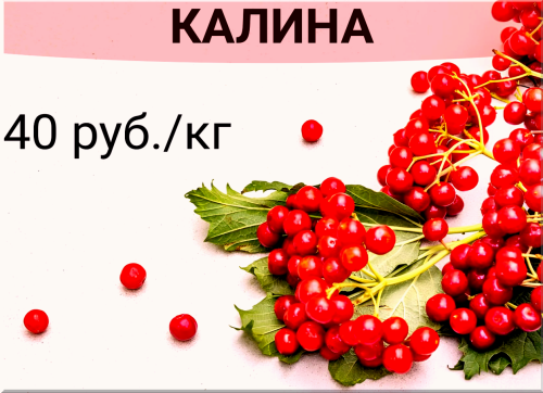 21ec00e5ee45a5377.png