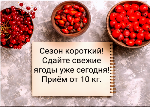 25298bc3c37434e74.png