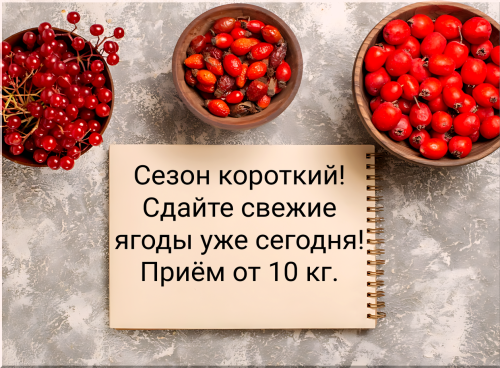 27606dc22fce90c1e.png