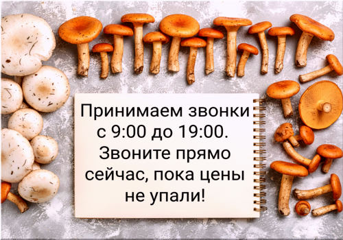 286769d7d3a0042a6.png