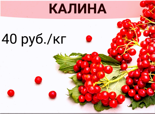 2aaa2bd9662c024dc.png