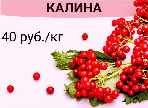 2b8f327ed2c072d33.png