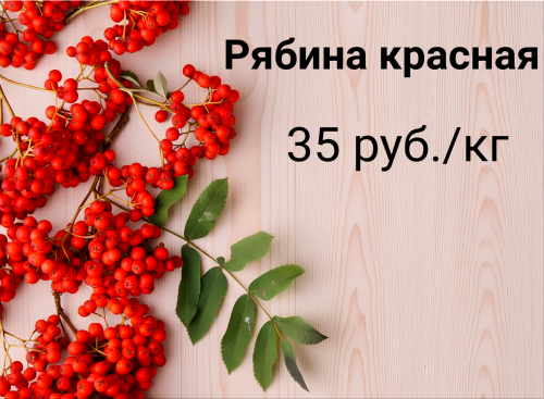 2c66d7c4357a0e668.png