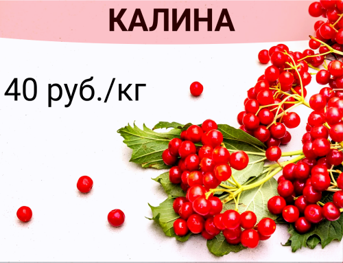 2c972839b2ef70eb3.png