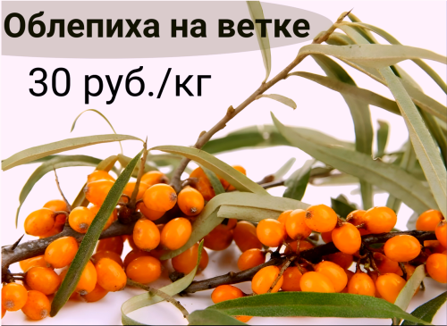 3059be87730ffd56e.png
