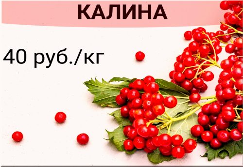 339b41d75fd4af3e0.png