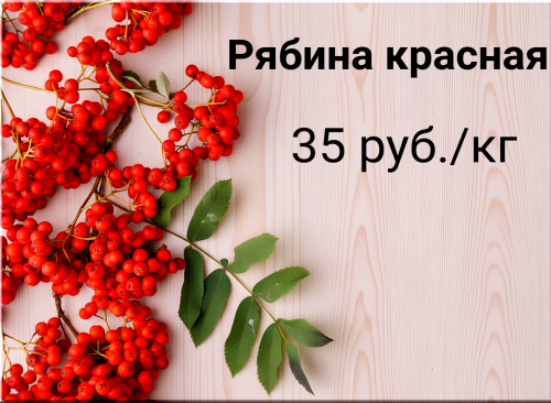 354654be460d867bc.png