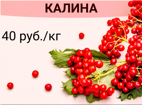 38222536bd8c607f1.png