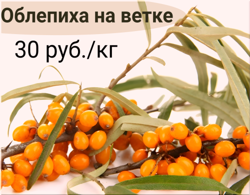 3a2bb521ffdb9a5c0.png