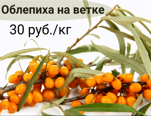 3bac8a41ffe371212.png