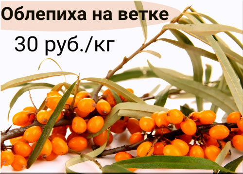 41ba4cc881a7a46cc.png