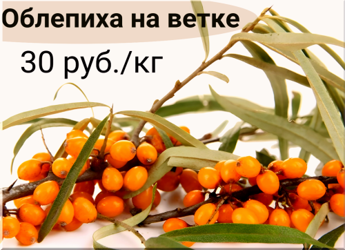 44c013edc061f29ec.png
