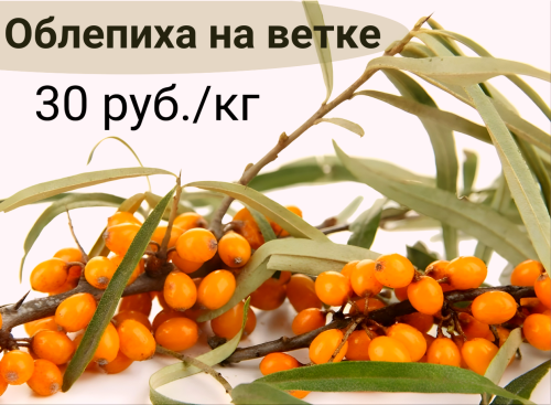 44da79ed7ab776d9e.png