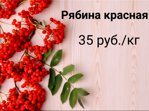 46f4156651881a25f.png