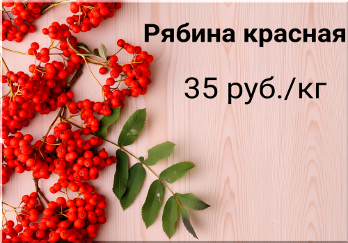 47163c7bcb4ac33f1.png