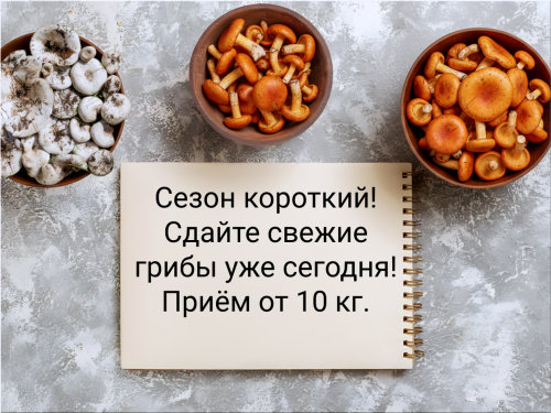 49c290516cc7072ac.png