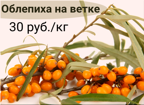 4d0cbe8f967a2fa12.png