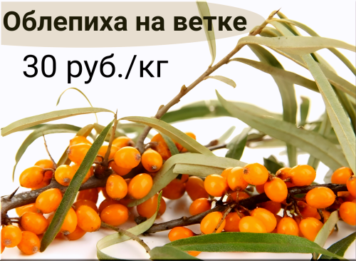 4fa4e212e9a1a5d12.png