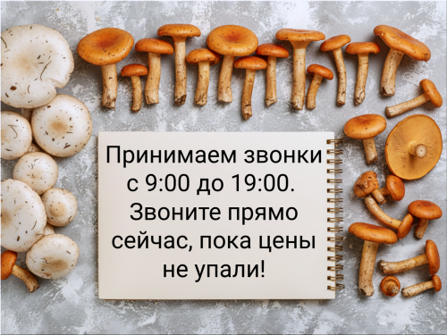5029da674d58c4787.png