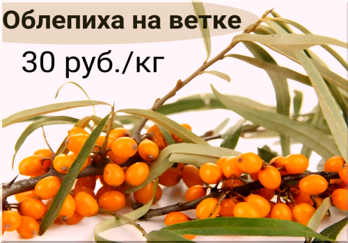 51026f9de78860112.png