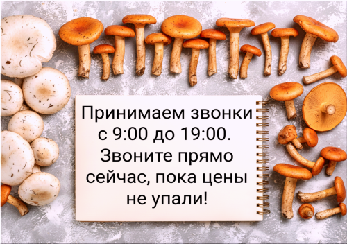51259cb753811c178.png