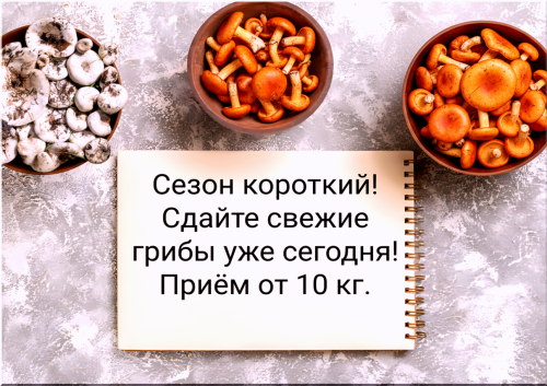 52e5986ce2aa3f5e7.png