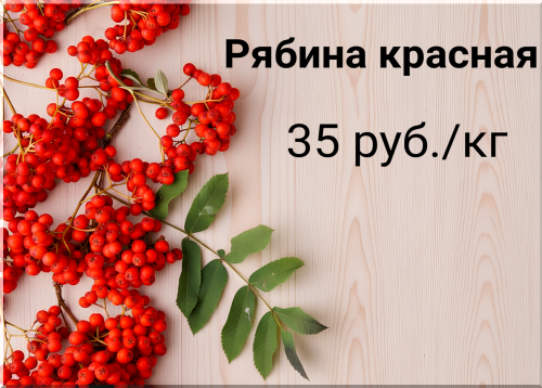 5380819a57bec26b4.png