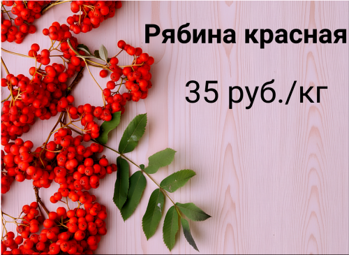 540a23ddbf84b0a30.png
