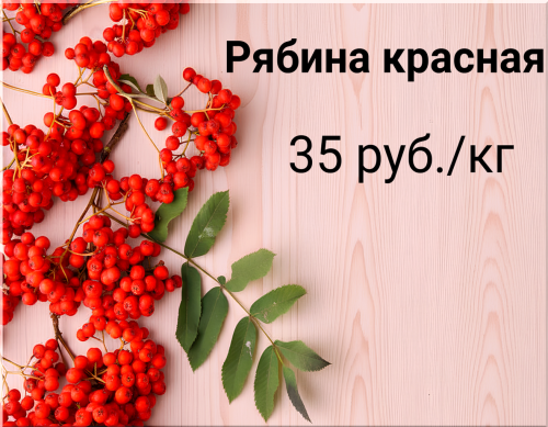 5917c8484e768c2f6.png