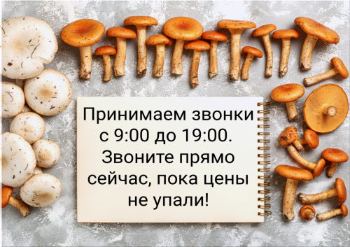 5a8af0e48ea141b11.png