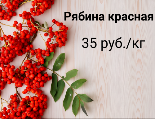 5ba783e47cc39f5b5.png