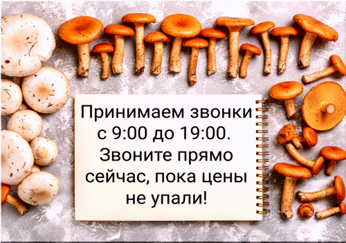 5c8b95d4dd7ba3173.png