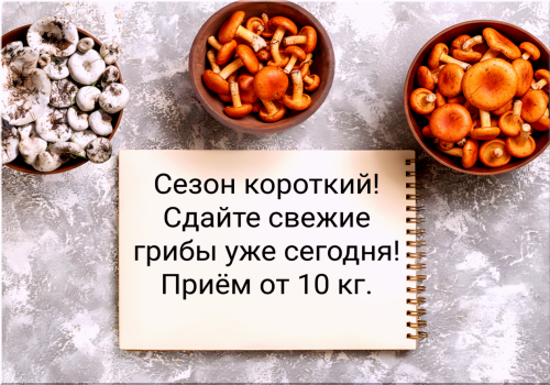 5d3f869c2357b845a.png