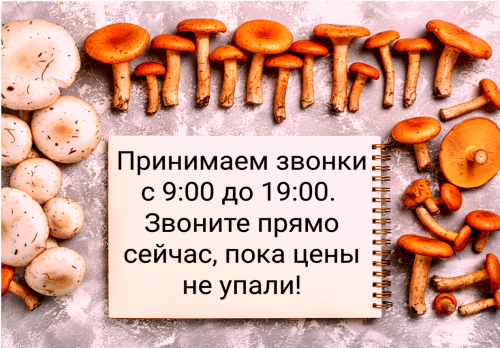 5ffc8ad5d78eeab24.png