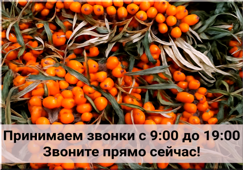 6269ed5dc5de65588.png