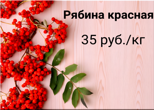 62e222b678e7f6858.png