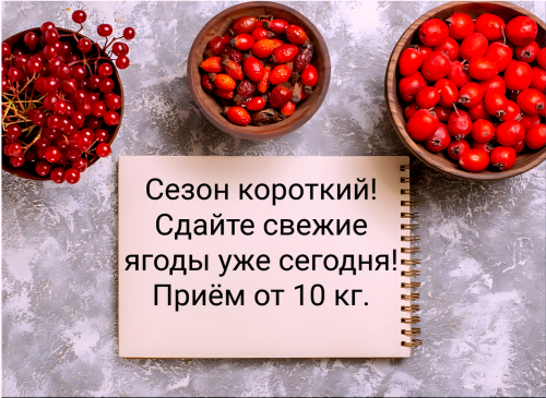672bc6c4237ee129e.png