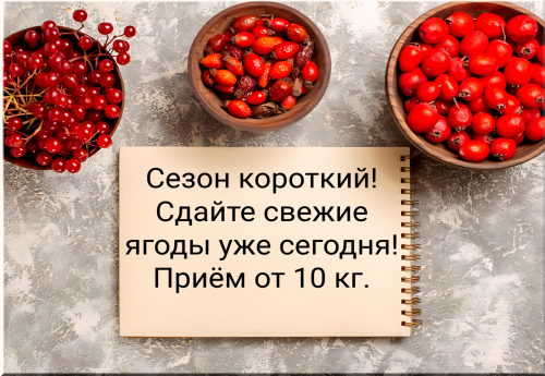 67cf47be9177d383e.png