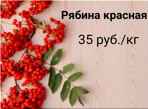 6c8b62c2abfa7ca46.png