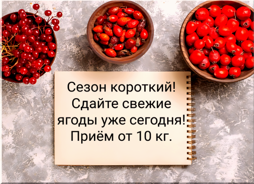 6cf7941f91dba5ec1.png