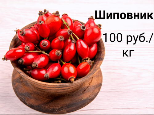 6e51ee6364bf050f0.png