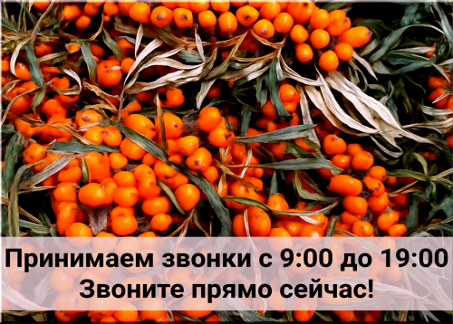 74e6698cae790c45a.png
