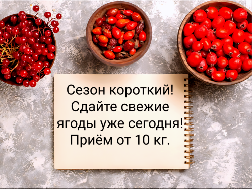 77f6e127ce9de6823.png