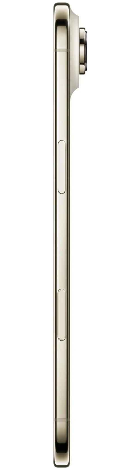 image2fb9e5b5694404b8.png